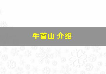 牛首山 介绍